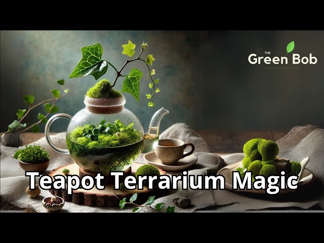 Glass Teapot Terrarium: A Miniature World of Moss & Red Fittonia