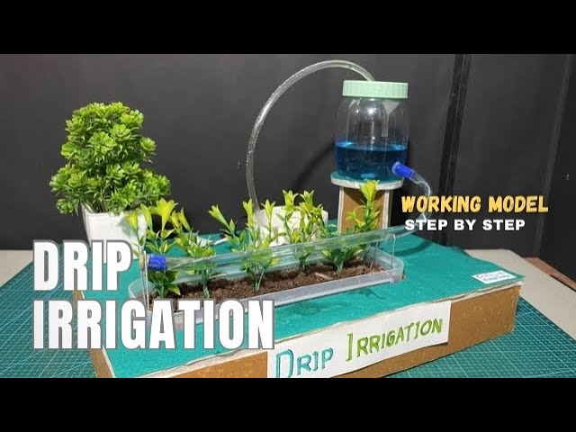 Drip irrigation working model for school #dripirrigation #agriculture crafts with Nakul Sahu