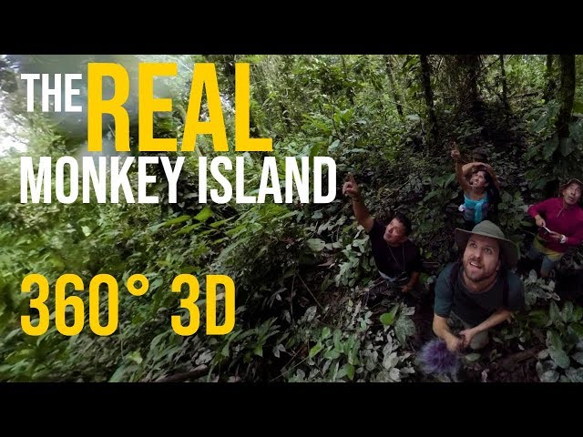 Amazon Rainforest Day 1: The REAL Monkey Island (3D 360 VR) - 2018