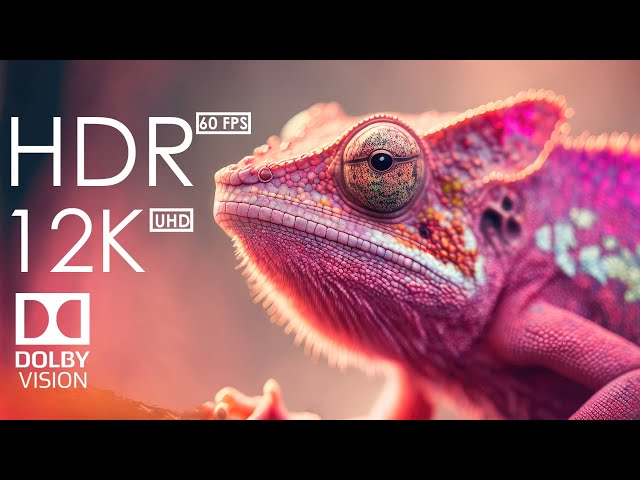 12K HDR 120fps Dolby Vision with Calming Music (Color Life)