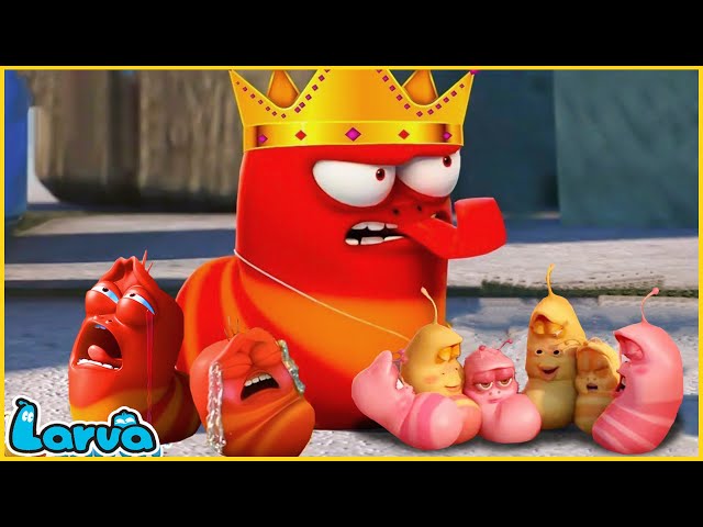 THE RED KING | CARTOON MOVIE FOR LIFE |THE BEST OF CARTOON | HILARIOUS CARTOON COMPILATION