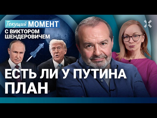 ШЕНДЕРОВИЧ: Плана нет ни у Трампа, ни у Путина. Израиль и Палестина. Корова на Марс.  Осел на фронте