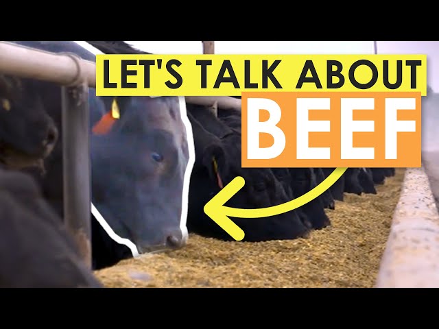 Let's Talk About Beef