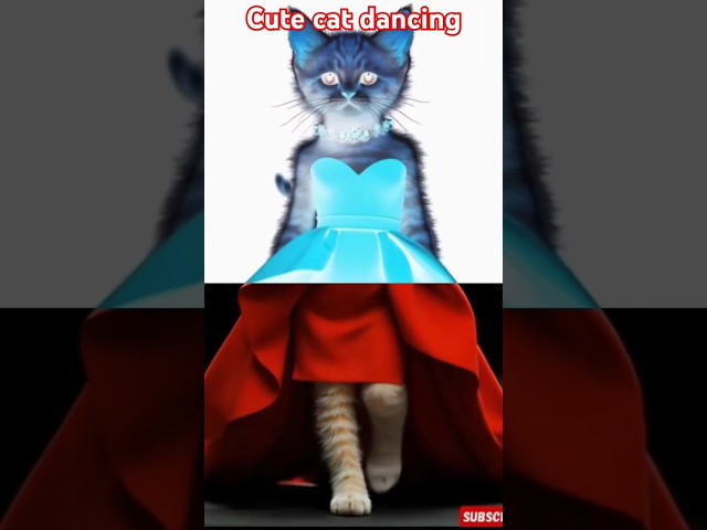 ❤️😻😍#cat #cute #funny #funnyvideo #ytcat #trending #shortsfeed #shorts #trending#viralsong #viral