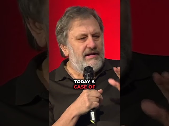 Slavoj Zizek on the Chinese economic miracle #shorts #zizek #china #capitalism #communism