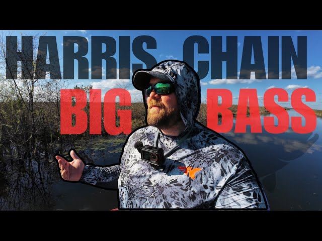 Can We Catch The BIGGEST BASS in The Harris Chain Today? | Day 1 Lake Griffin