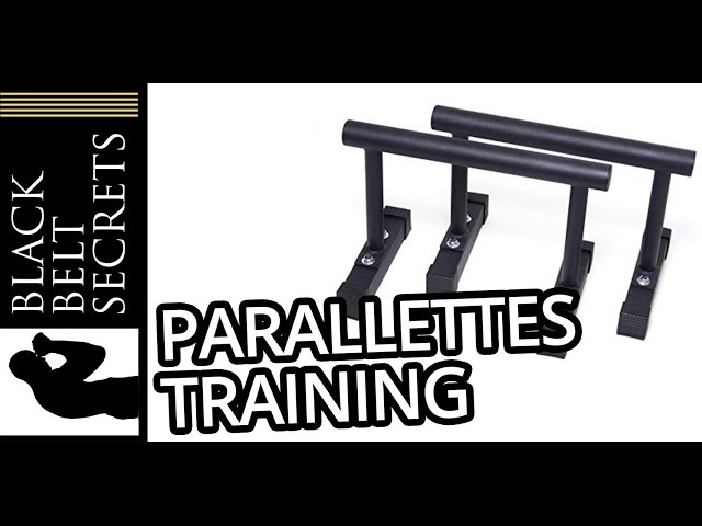 Parallettes FOR BEGINNERS - Gold Medal Bodies Program Review