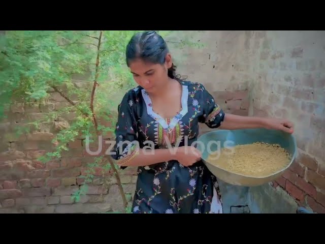 Daily routine work | My second vlog | Village girl vlog | Desi girl Vlog | Personal house Vlog