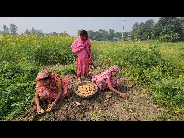 বড়দারা সত্যি সত্যি শশুর বাড়ি চলেই গেলো । সবার উপরে মানুষ সত্য তাহার ‍উপরে নাই । Village Vloger |