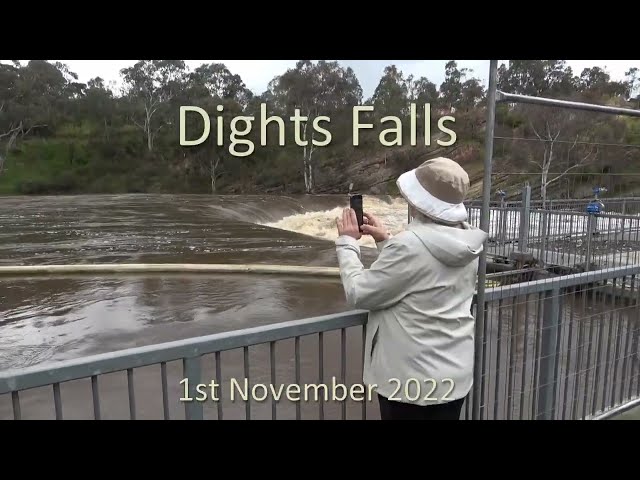 Dight's Falls in flood - Yarra River - 1st November 2022