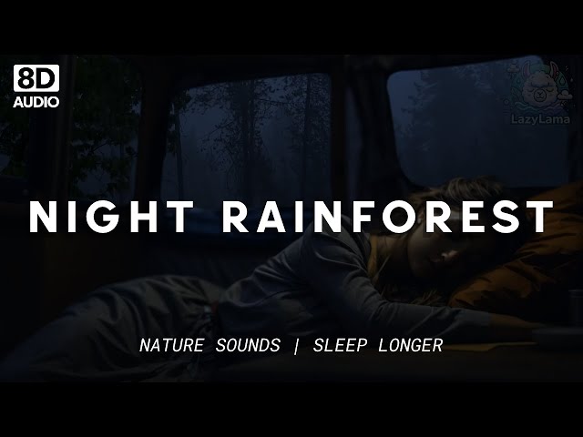 1 Hour 8D Night Rainforest Ambience | Nature Sounds for Relaxation