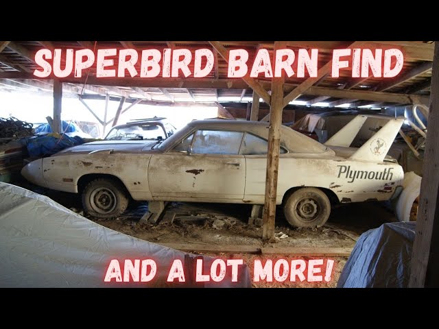 Barn Find Superbird and so much more!