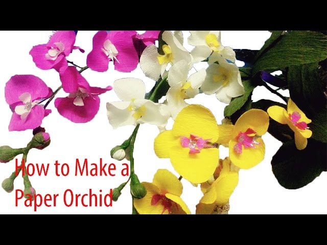 Handmade - How to make paper flowers – Orchids (fast version)