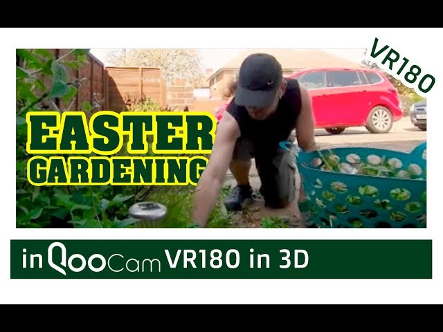 Gardening on Easter Sunday VR180