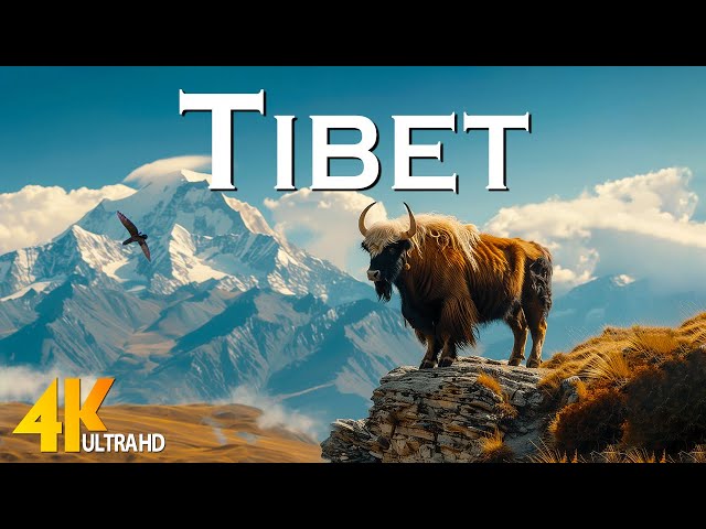 Tibet 4K Drone  - Scenic Relaxation Film with Epic Cinematic Music - 4K Video Ultra HD