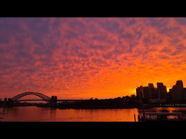 Sights and sounds from the most amazing city in the world..  This is Sydney Harbour Australia LIVE