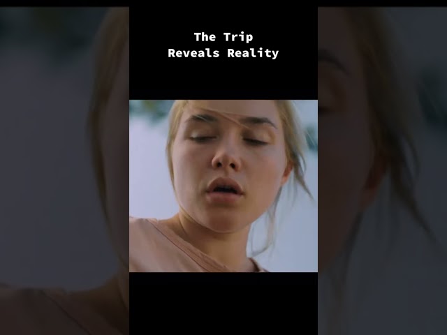 The trip reveals reality #midsommar #moviescenes #trippy #hallucination #horror #shorts