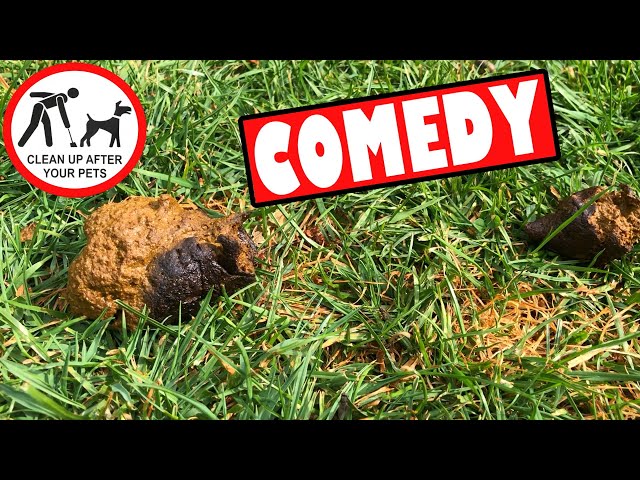 How to pick up Dog Poop easily this is a JOKE video so please don't actually do this!