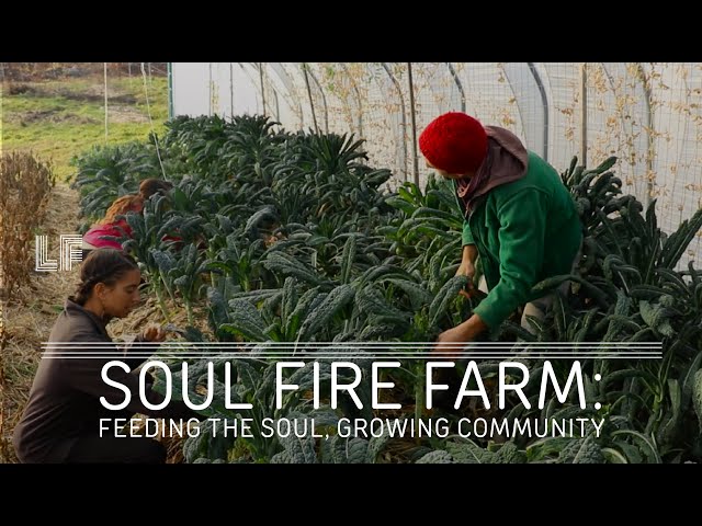 Soul Fire Farm: Feeding the Soul, Growing Community