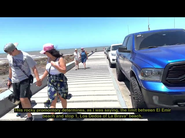 47 | Playa Parada 1 Playa Brava - Beach Stop 1 Playa Brava | Punta del Este Trip 2023 | 4K HDR 60fps