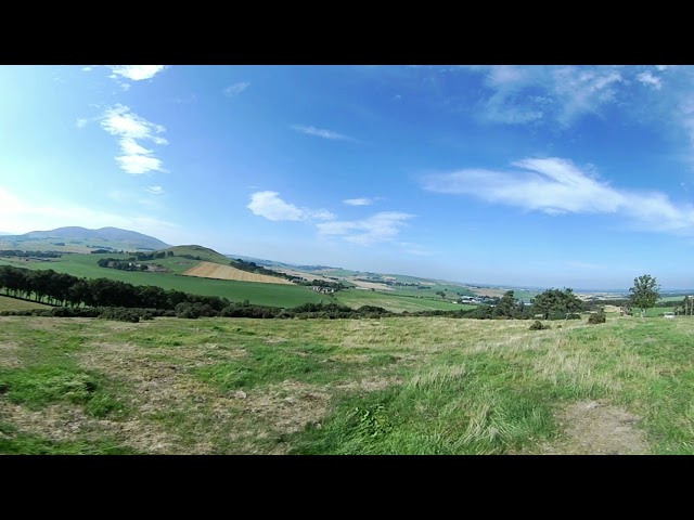 Glourourem wood, near Biggar