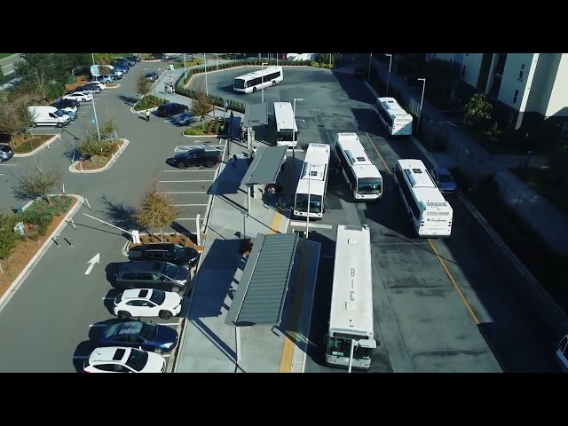 Flamingo Crossing Bus Shelters