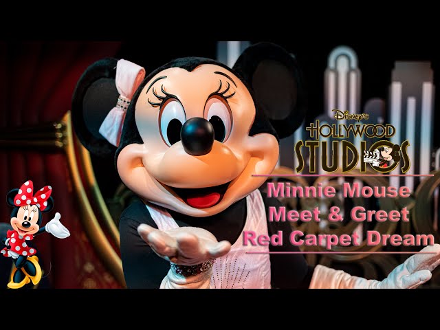 8K Minnie Mouse Meet & Greet in Red Carpet Dream at Disney's Hollywood Studios VR180 3D