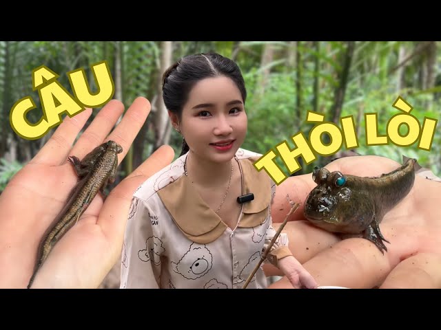 Săn Bắt và Câu Cá Thòi Lòi lên bờ quá hấp dẫn | Kiều Thơ vlog