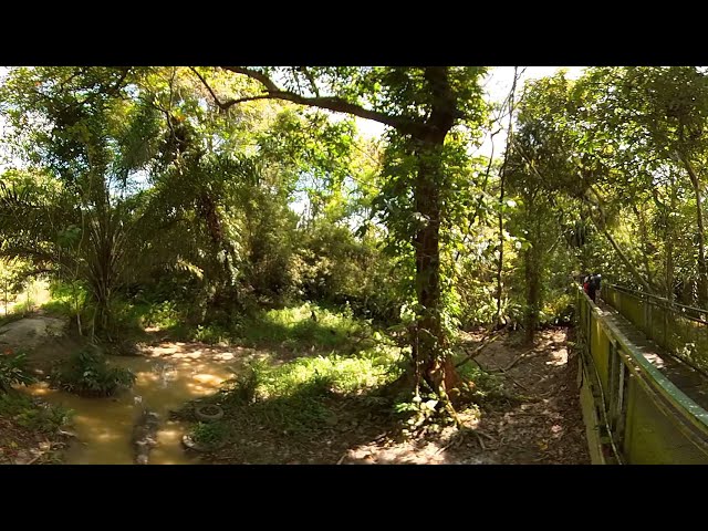 Jong's Crocodile Farm Jungle Walk