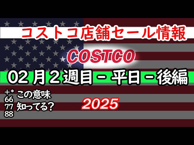 【コストコセール情報】2月2週目-平日-後編 食品 生活用品 パン 肉  お菓子 キャンプ キッチン おすすめ 最新  クーポン  購入品