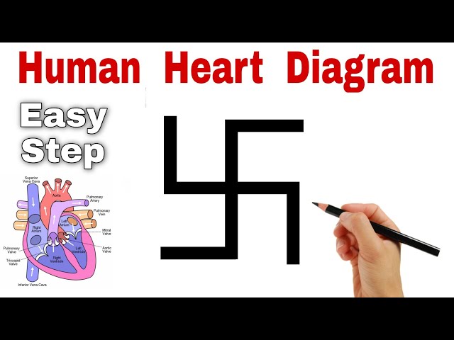 卐 की मदद से मानव ह्रदय का चित्र || Human Heart Class 10 Science Diagram