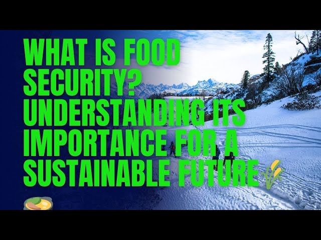 What Is Food Security? Understanding Its Importance for a Sustainable Future 🌾🍲