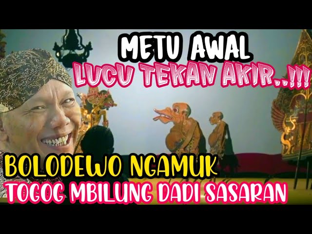 TOGOG MBILUNG DIAMUK , DIAJAR KARO BOLODEWO || @wargoseni