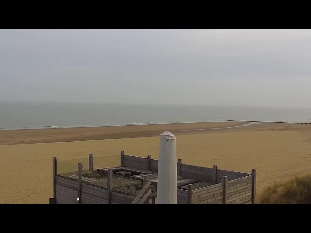 🔴 Live Webcam @ Surfers Paradise Knokke Belgium