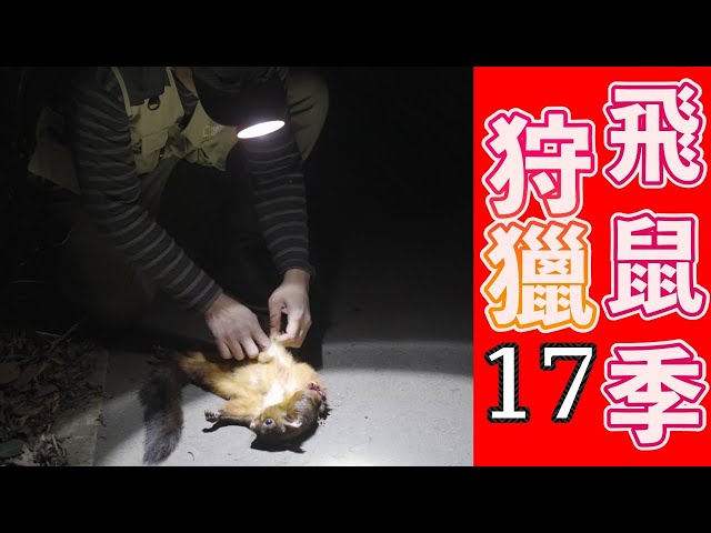 飛鼠季節來臨！找楓樹開花點｜泰雅族狩獵17｜厭世奶爸出走日記