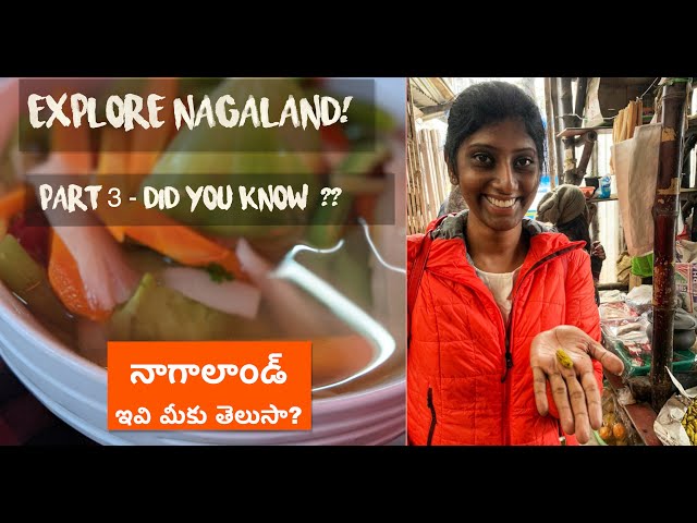 Explore Nagaland | Facts about Nagaland | Telugu travel vlog | English subtitles