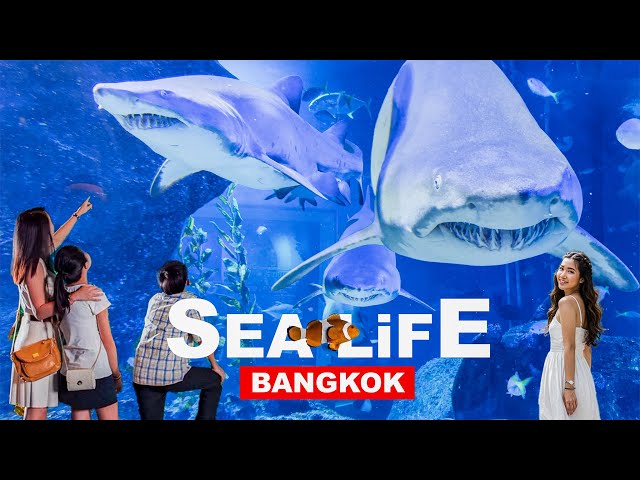 🇹🇭Bangkok Sealife Ocean World | Largest Aquarium In Thailand🦈🐠🐟👍