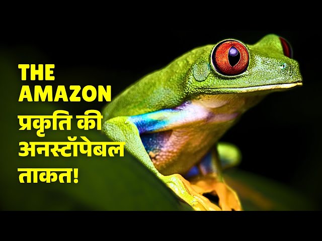 The Amazon: Nature’s Unstoppable Force! अमेज़न: प्रकृति की अनस्टॉपेबल ताकत! 🌿🔥 #AmazonRainforest