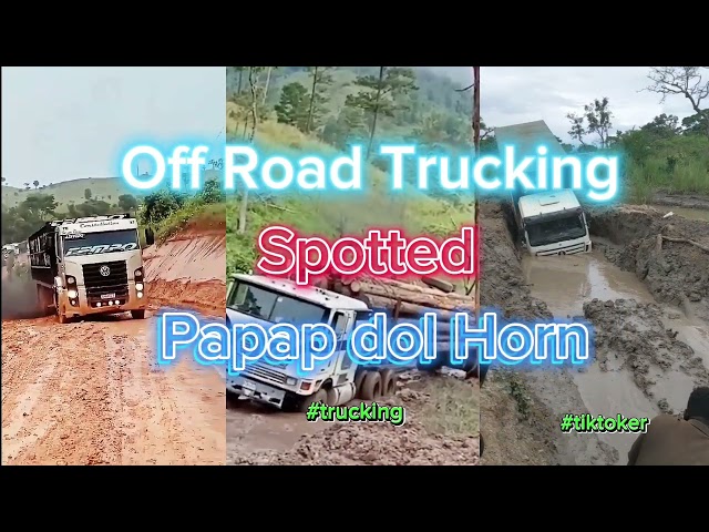 Off road  trucking spotted with papap dol horn, #trending #virals #shorts #trucking #fypシ #foryou