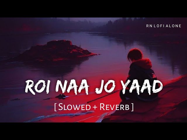 Roi Na Jo Yaad Meri Aayi Ve Lofi (Slowed + Reverb) | Vicky Singh | Hindi Sad Song | RN Lofi Alone