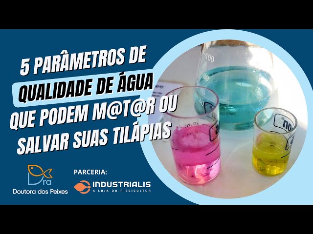 5 parâmetros de qualidade de água que podem salvar ou m@t@r suas tilápias