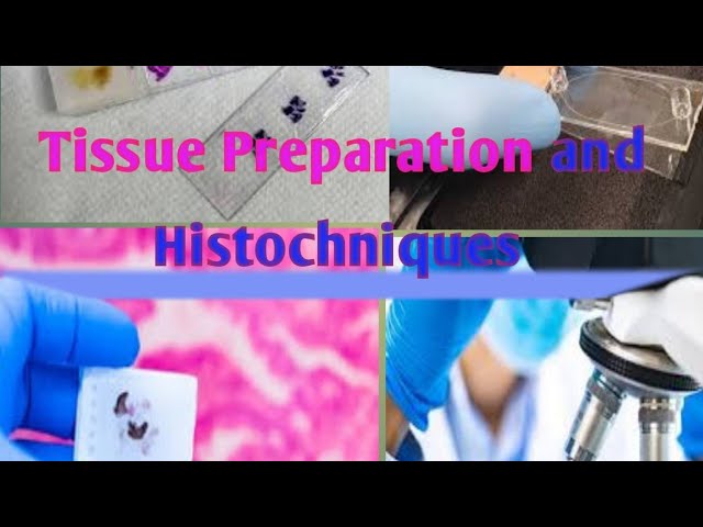 Tissue Processing and Histotechnique, Fixation, Dehydration, Clearing, Sectioning and Stating