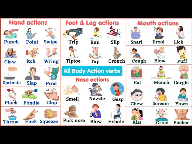 Lesson 130: All Body Action Verbs vocabulary | Super easy lesson for beginners | Learn ACTION VERBS