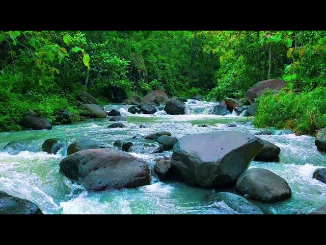 River streams Asmr for deep sleep and relaxation water sounds meditation mind relaxing sound