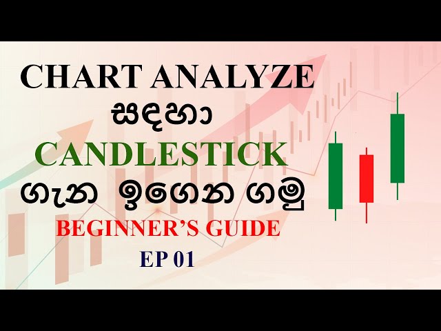 Complete Candlestick Trading Course For Beginners | Sinhala Tutorial | EP 01