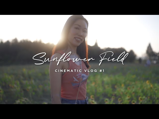 Sunflower Field Cinematic Vlog #1 shot by Sony a7SIII / FE 35mm F1.4 GM