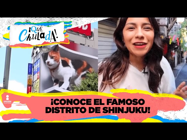 ¡Conoce el famoso Distrito de Shinjuku con Ruthi San! | Qué Chulada