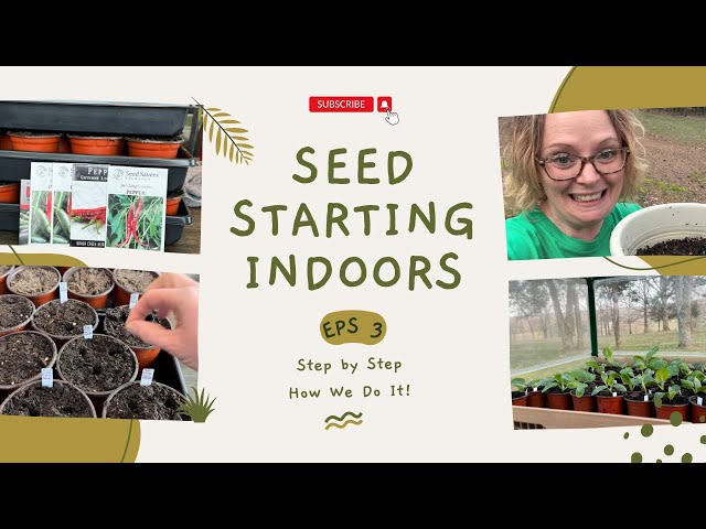 Seed Starting Indoors! Step By Step How We Do It! #homesteading #seedstarting #gardening #garden EP3