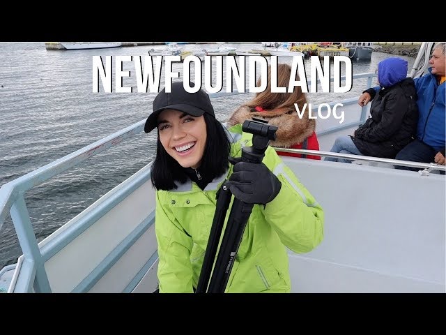 Newfoundland Vlog | Where to visit & eat ??? (Mistaken point, Cape Spear, Quidi Vidi etc)