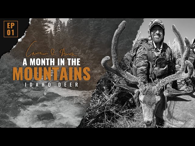 Idaho Mule Deer : ep. 1 : A Month in the Mountains